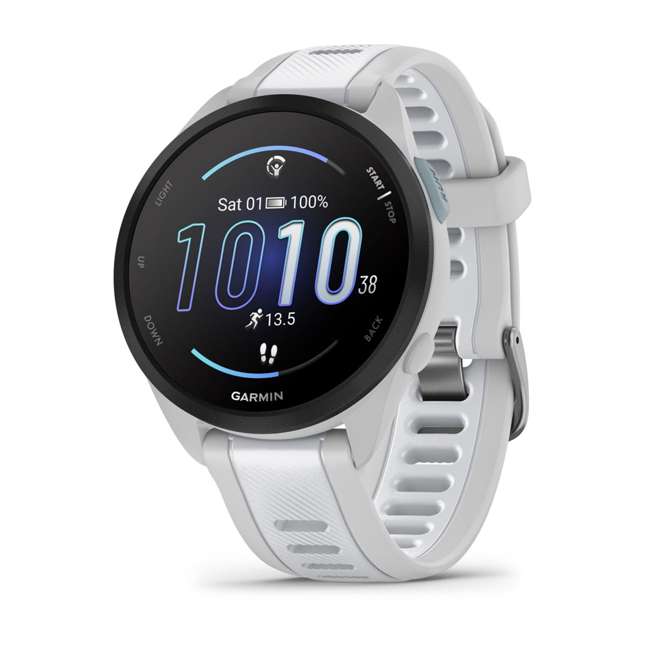 Global Version Garmin 165