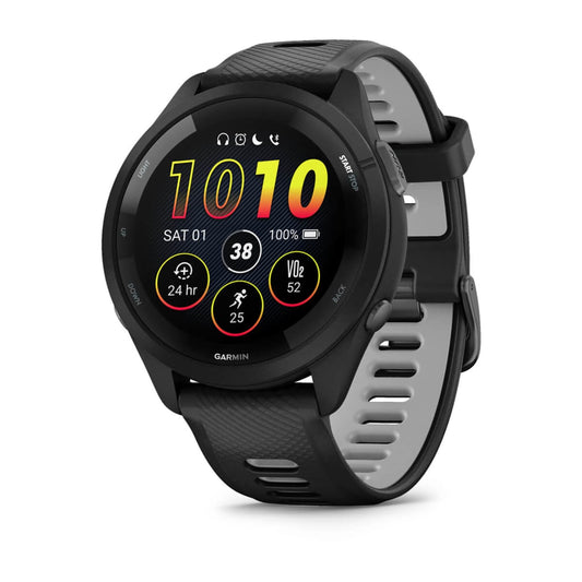 Global Version Garmin 265